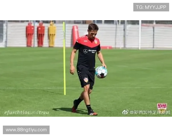 K1体育平台的用户评价：真实反馈与使用体验